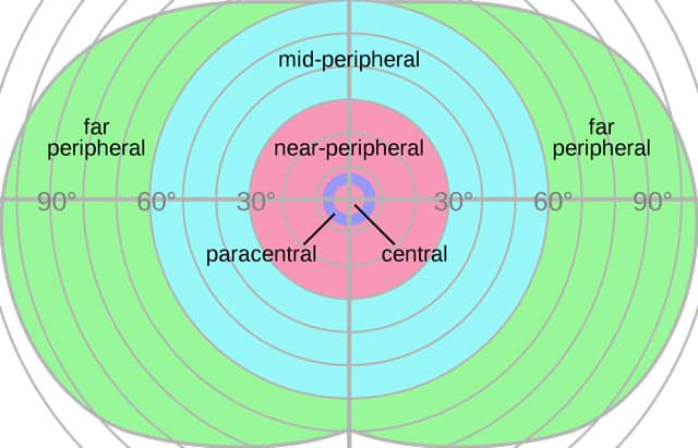 how-to-improve-peripheral-vision-everyday-sight